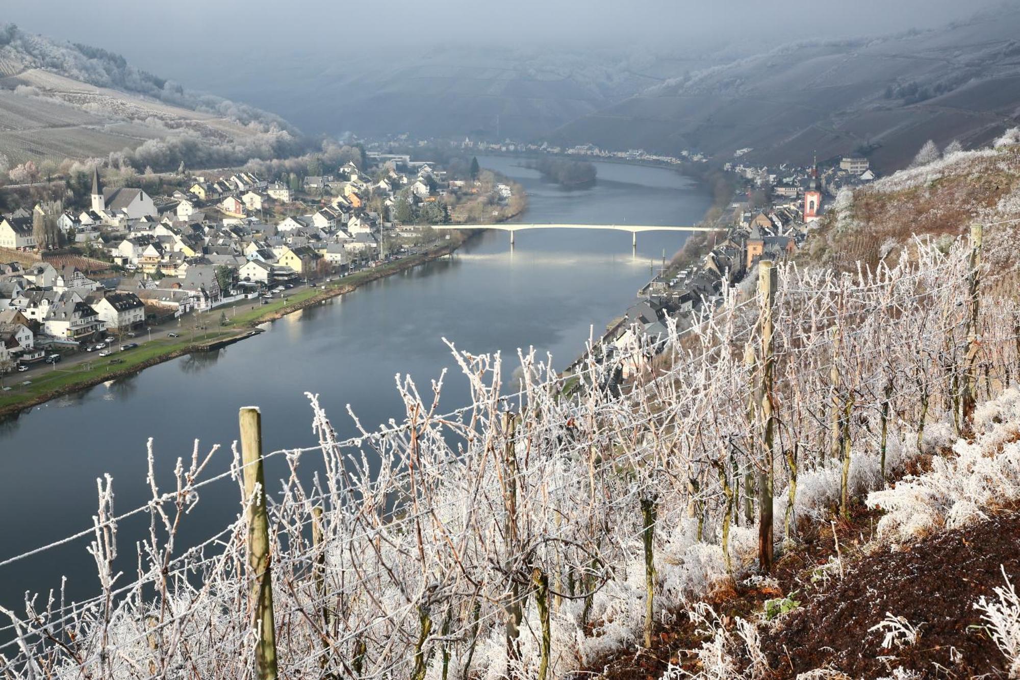 Ferienwohnung Ankerplatz Zell an der Mosel Exterior photo